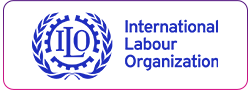 International Labour Organization